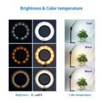 Professional Live Stream Flexible Tripod With Selfie Ring Light - Image 3