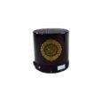 SQ 200 Rechargeable Speaker Portable Quran Speaker with Remote Control – Golden