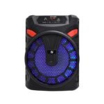 Wireless Bluetooth Speaker KTS 1090F