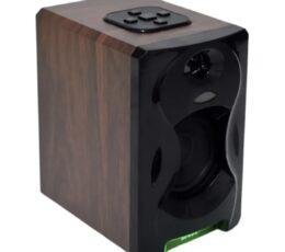 BTS-1321 Wireless Bluetooth Speaker