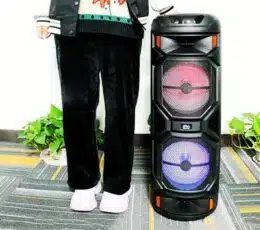 TS-8801 Wireless Bluetooth Speaker