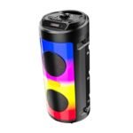 TS-4402 Wireless Party Speaker