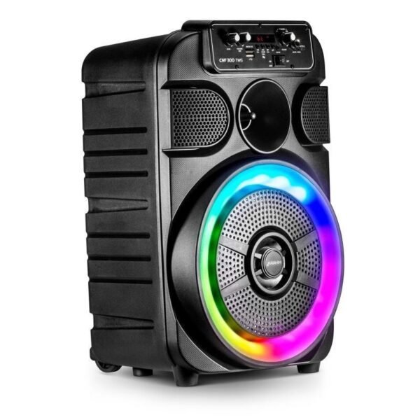 TS-1244 Wireless Mic and Speaker - Image 2