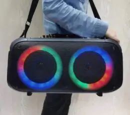 BTS-1709 Wireless Bluetooth Speaker