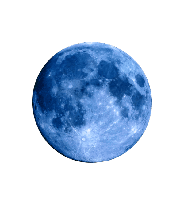 OMEGA X Neptune - Image 6