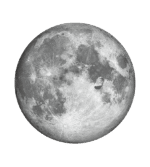 OMEGA X Moon Watch - Image 4