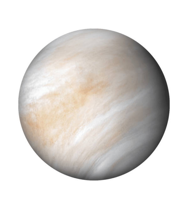 OMEGA X Venus SWATCH - Image 6