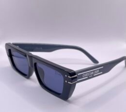 Christian Dior Gray Sunglasses