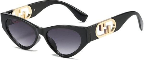 Fendi Classic Sunglasses - Image 2