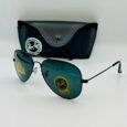 Ray-Ban Light Black Sunglasses