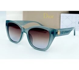 Dior Sky Brownie Sunglasses