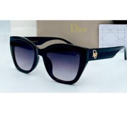 Dior Full Black Sunglasses