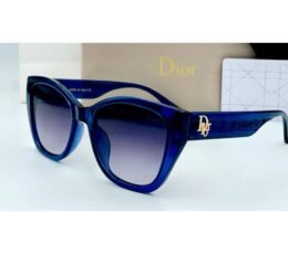 Dior Dark Blue Sunglasses