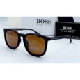 Boss Brown Polarized Sunglasses
