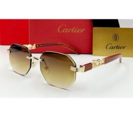 Cartier Sunglasses