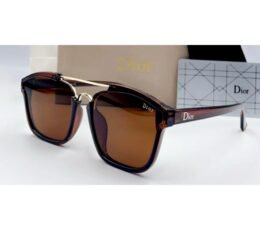 Dior Brown Sunglasses