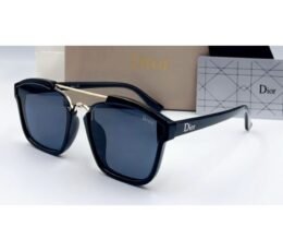 Dior Black-Silver Sunglasses