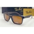 Ray•Ban Brown Polarized Sunglasses
