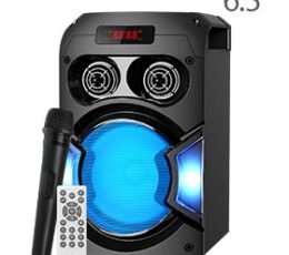 Bts-1166 Wireless Bluetooth Speaker