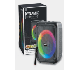 BTS-1739 Wireless Bluetooth Speaker