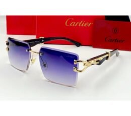 Cartier Purple Sunglasses