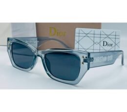 Dior Sky Transparent Sunglasses