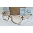 Dior Brown Transparent Sunglasses