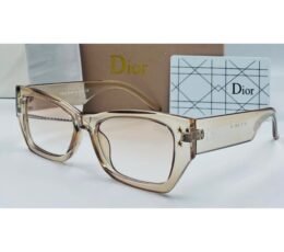 Dior Brown Transparent Sunglasses
