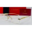 Cartier Transparent Sunglasses