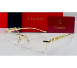 Cartier Transparent Sunglasses