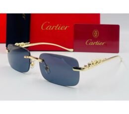 Cartier Blue Sunglasses