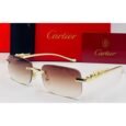 Cartier Multi Sunglasses