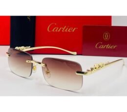 Cartier Multi Sunglasses