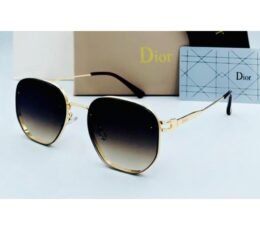Dior Brownie Sunglasses