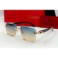 Cartier Sky Sunglasses