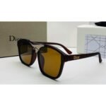 Dior Square Matte Brown Frame Brown Lens Sunglasses