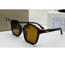 Dior Brown Sunglasses