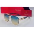 Cartier Sky Sunglasses