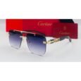 Cartier Purple Sunglasses