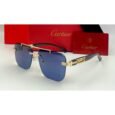 Cartier Blue Sunglasses