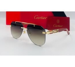 Cartier Brown Sunglasses