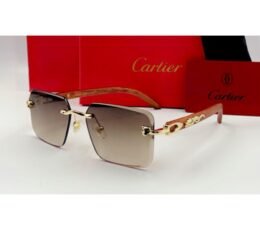 Cartier Brown Sunglasses