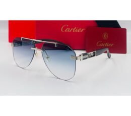 Cartier Sky Sunglasses