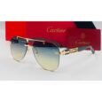 Cartier Multi Sunglasses