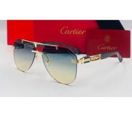 Cartier Multi Sunglasses