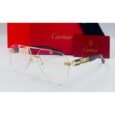 Cartier Transparent Sunglasses
