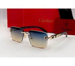Cartier Multi Sunglasses