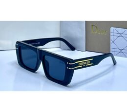 Christian Dior Sunglasses
