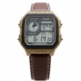 Casio AE-1200 Royale Custom Vintage