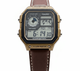 Casio AE-1200 Royale Custom Vintage